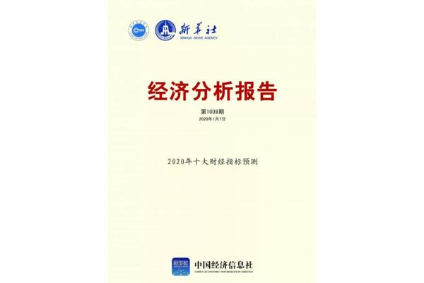 项目分析报告