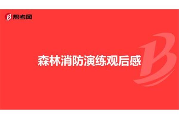 消防演练观后感