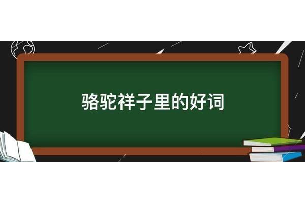 骆驼祥子里的好词