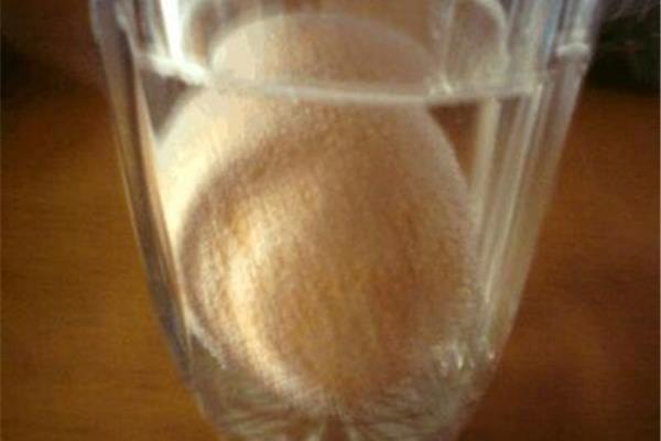 白醋泡鸡蛋实验