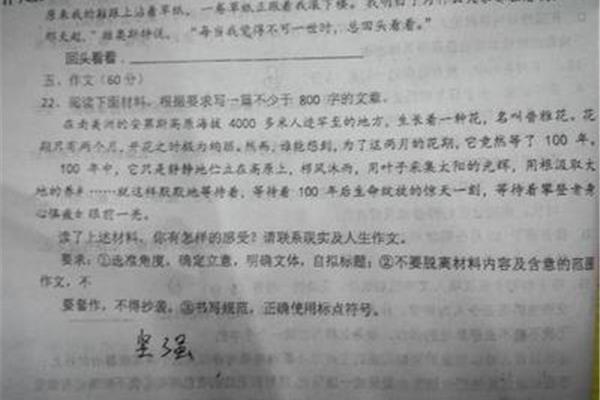 写坚持的作文