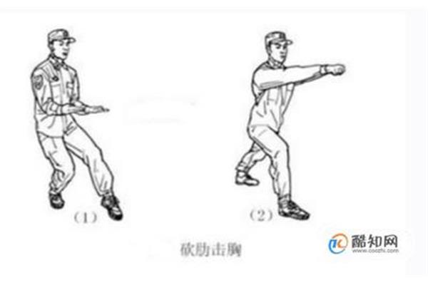 擒敌拳十六动