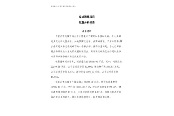 项目分析报告