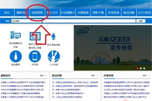 云南信息网