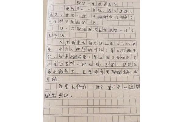 新年的愿望作文