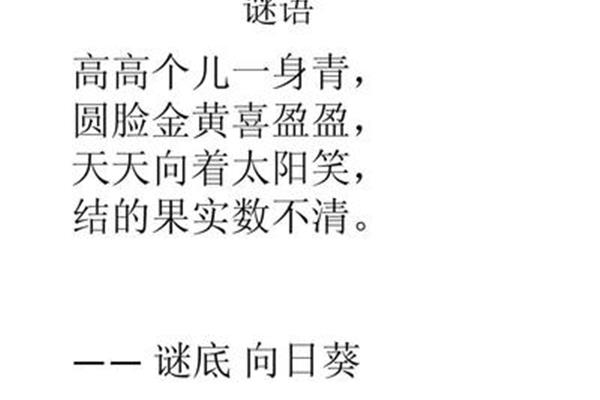 向日葵谜语