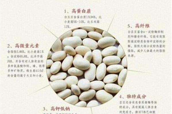 钙在人体中的作用