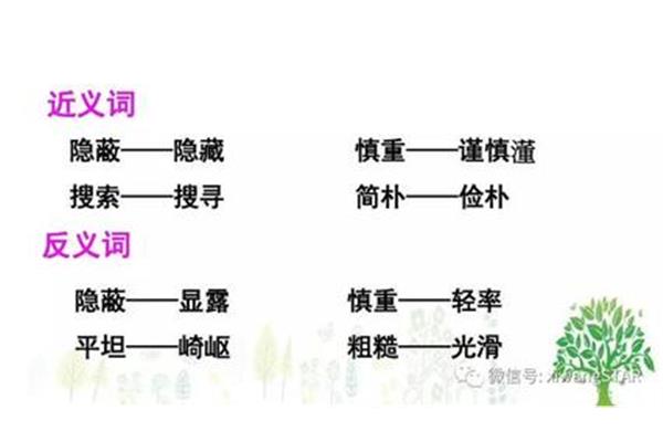 谨慎的反义词