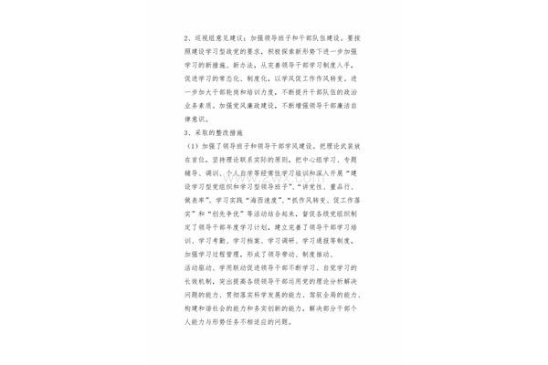 巡视整改报告