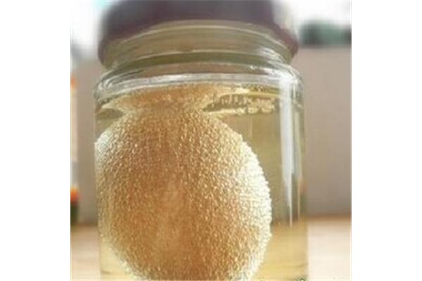 白醋泡鸡蛋实验