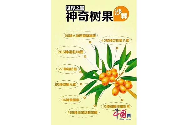 钙在人体中的作用