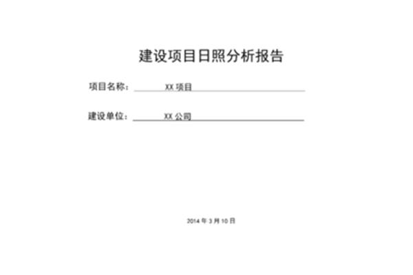 项目分析报告