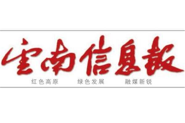 云南信息网