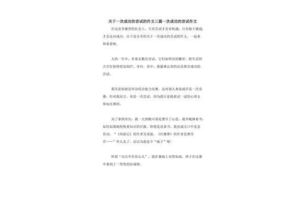 关于尝试的作文
