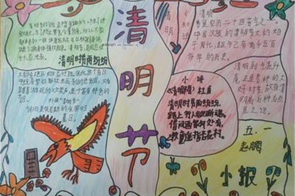 清明节手抄报内容