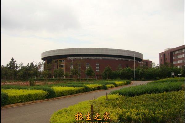 云南信息网