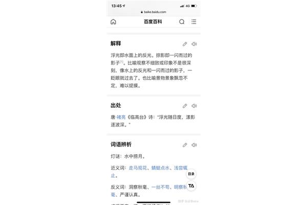 浮光掠影的近义词