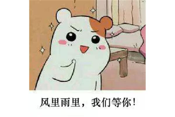 我在这里等你