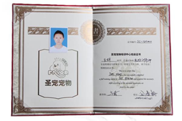 宠物美容师证书