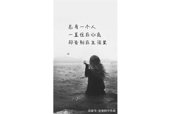 你努力的样子真美