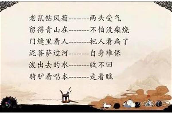 老鼠钻风箱歇后语
