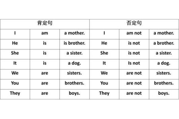 动词后面加什么
