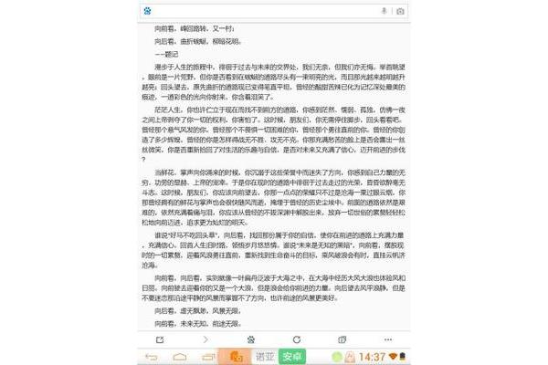 向前看作文