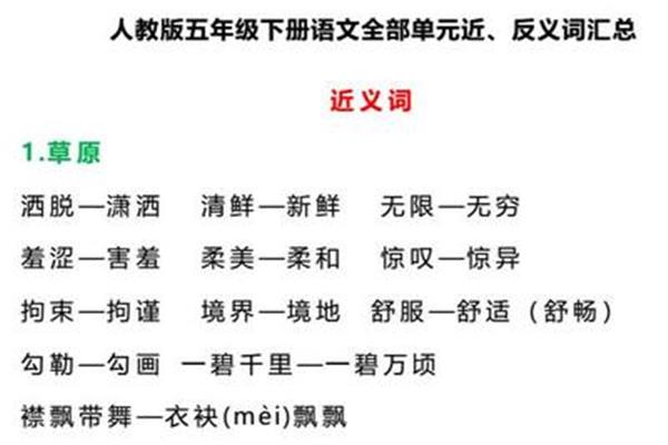 潇洒的近义词