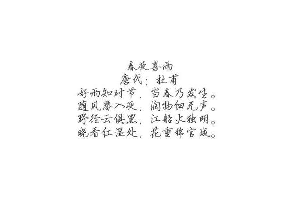 唐杜甫的诗