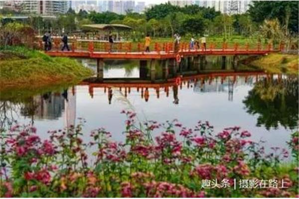 深圳园博园