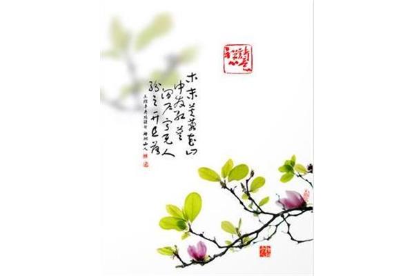 辛夷坞王维