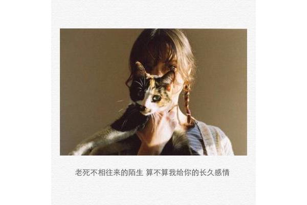 你在我心里面