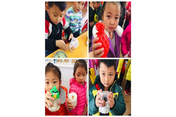 幼儿园护蛋行动