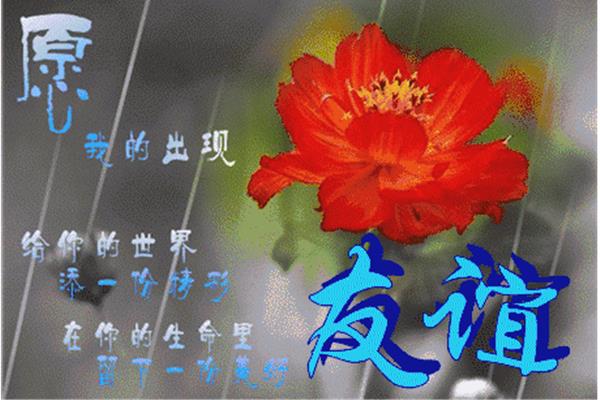 祝福你我的朋友