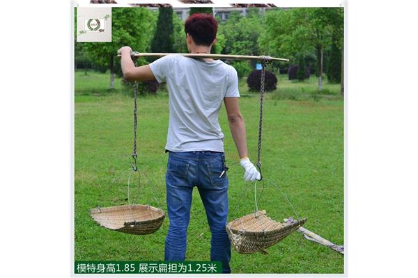 选调是什么意思