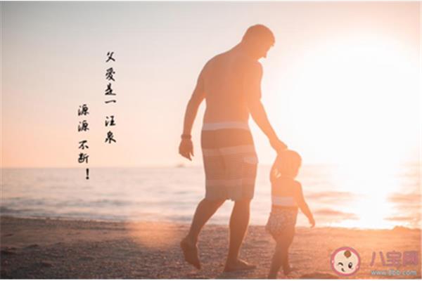 父爱的句子