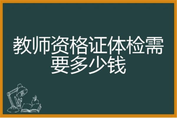 教资体检多少钱