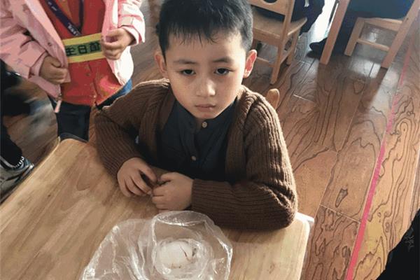幼儿园护蛋行动