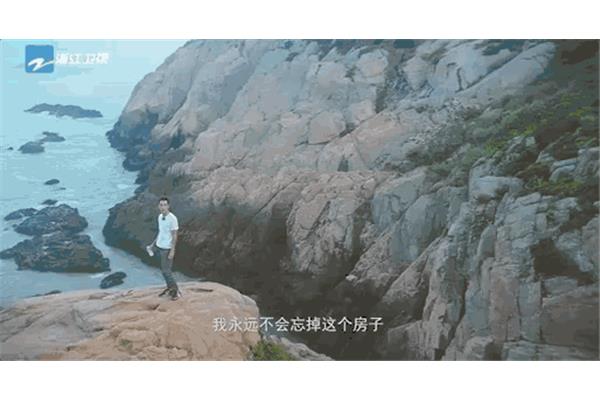 风雨二十年