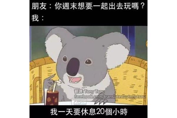 20个最好笑笑话
