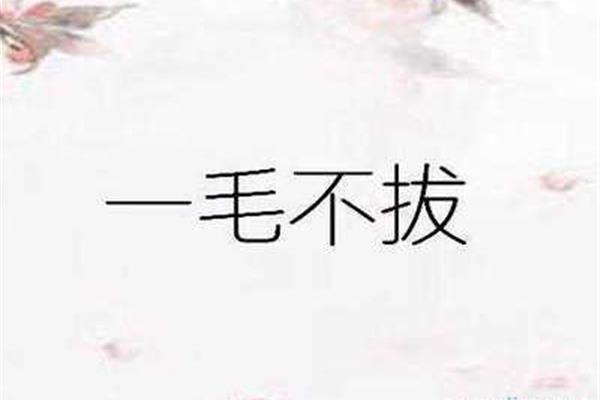 铁打的公鸡歇后语