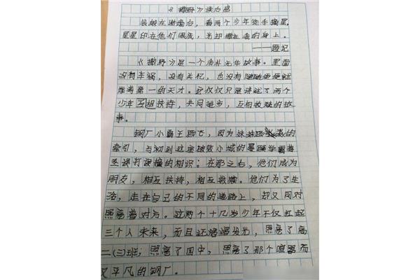 撒野读后感