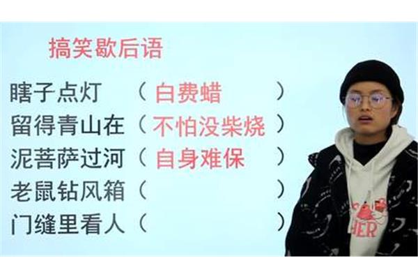 老鼠钻风箱歇后语