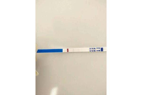 科学的本质