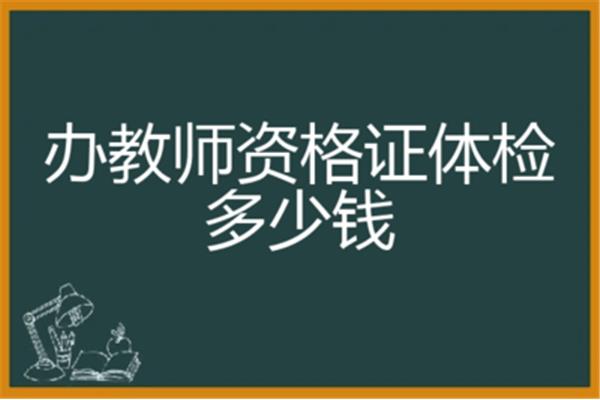 教资体检多少钱