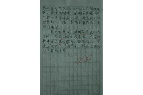 新学期的打算作文