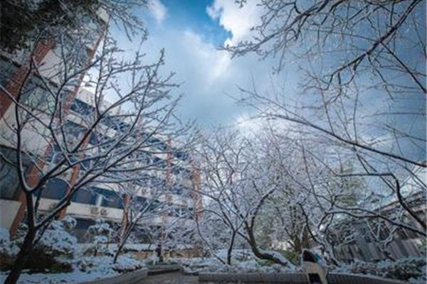 重庆机电大学