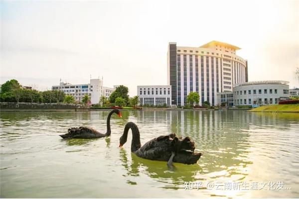 温州大学是一本吗