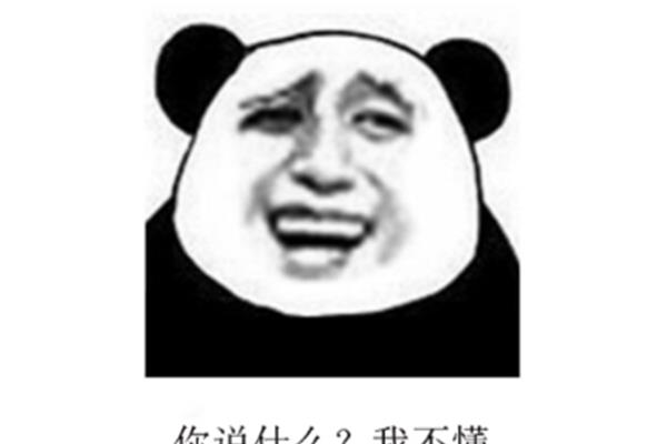 其实我懂你