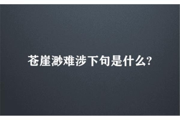 寂寂闻猿愁